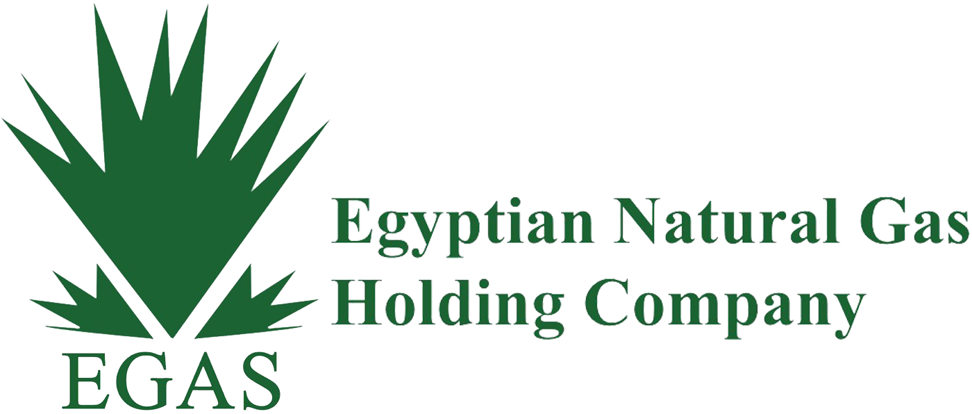 EGYPTIAN national gas Client Logo